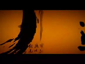 武术表演南拳北腿中国功夫视频的预览图